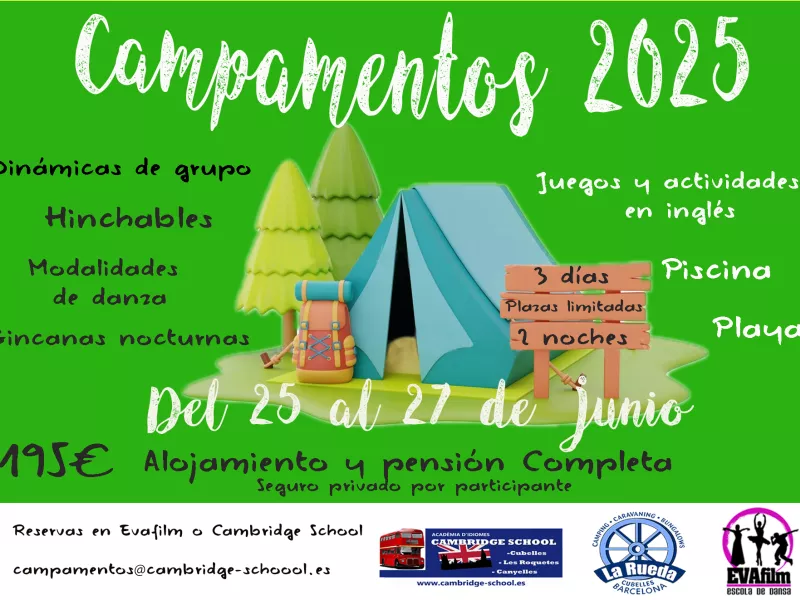 logo campamentos verano